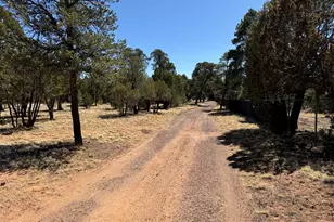 3050 Chevelon Rd, Overgaard, AZ 85933 - Photo 30