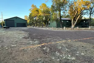 3050 Chevelon Rd, Overgaard, AZ 85933 - Photo 2