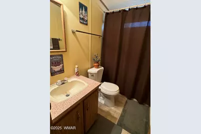 3050 Chevelon Road, Overgaard, AZ 85933 - Photo 24