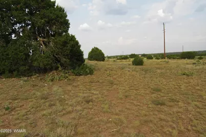 70 County Road 5054, Concho, AZ 85924 - Photo 16