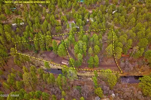 571 W Pine Shadow Dr, Lakeside, AZ 85929 - Photo 44