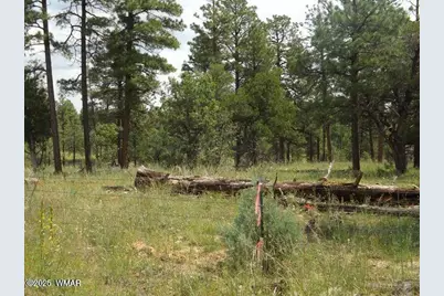 2697 Lost Way, Overgaard, AZ 85933 - Photo 8