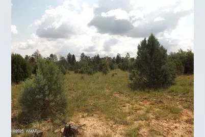 2697 Lost Way, Overgaard, AZ 85933 - Photo 4