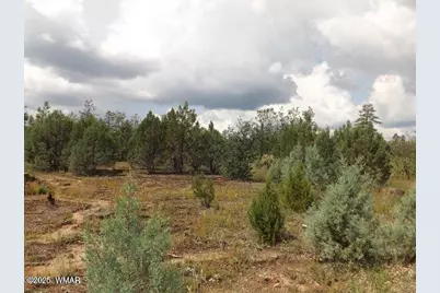 2697 Lost Way, Overgaard, AZ 85933 - Photo 6