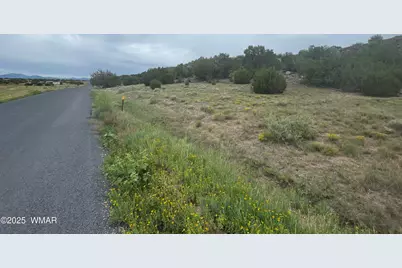 83 Charleen Drive, Concho, AZ 85924 - Photo 8