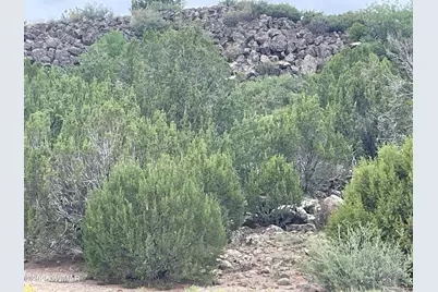 83 Charleen Drive, Concho, AZ 85924 - Photo 12