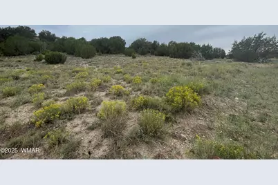 83 Charleen Drive, Concho, AZ 85924 - Photo 6