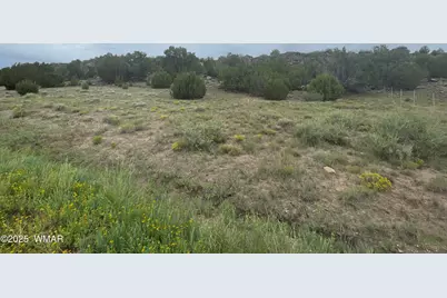 83 Charleen Drive, Concho, AZ 85924 - Photo 1