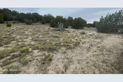 83 Charleen Drive, Concho, AZ 85924 - Photo 4