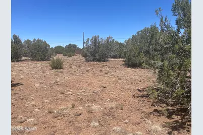 148 Alaska Avenue, Concho, AZ 85924 - Photo 6