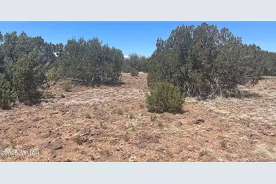 148 Alaska Avenue, Concho, AZ 85924 - Photo 1