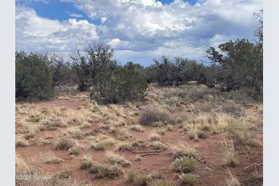 4353 Colt Road, Snowflake, AZ 85937 - Photo 8