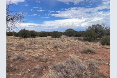 4353 Colt Road, Snowflake, AZ 85937 - Photo 1