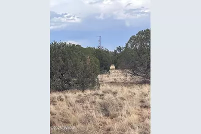 4353 Colt Road, Snowflake, AZ 85937 - Photo 4