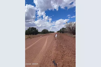 4353 Colt Road, Snowflake, AZ 85937 - Photo 10