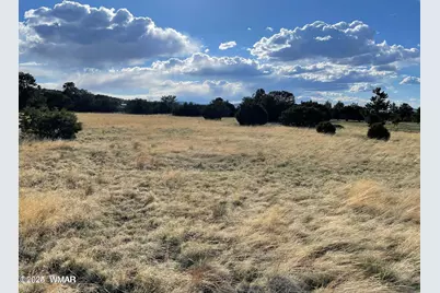 Tbd Sky Crest Drive, Eagar, AZ 85925 - Photo 2