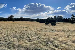 Tbd Sky Crest Dr, Eagar, AZ 85925 - Photo 1