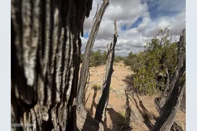 6625 North, Saint Johns, AZ 85936 - Photo 1