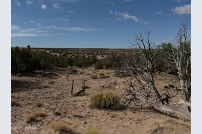 6625 North, Saint Johns, AZ 85936 - Photo 6