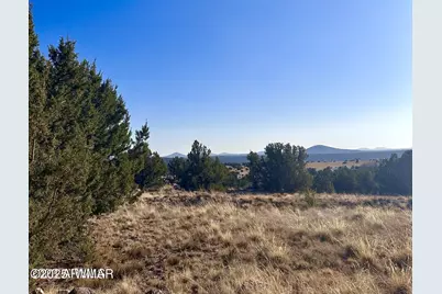 14 County Road 8249, Concho, AZ 85924 - Photo 1