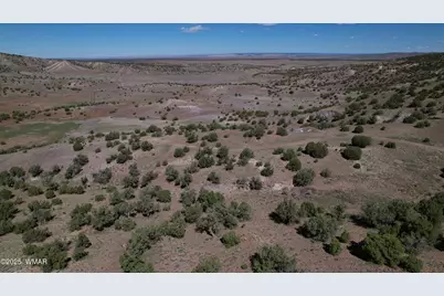Tbd Co Rd 5062 Lot 1 3.53 Acres, Concho, AZ 85924 - Photo 4