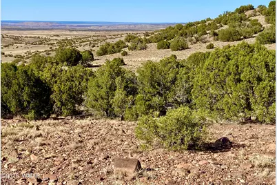 Tbd Co Rd 5062 Lot 1 3.53 Acres, Concho, AZ 85924 - Photo 36