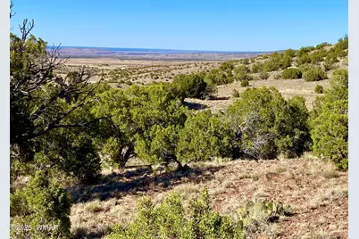 Tbd Co Rd 5062 Lot 1 3.53 Acres, Concho, AZ 85924 - Photo 1