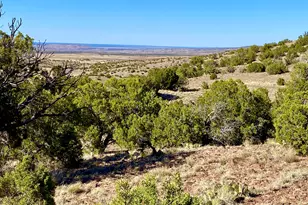 Tbd Co Rd 5062 Lot 1 3 53 Acres, Concho, AZ 85924 - Photo 1