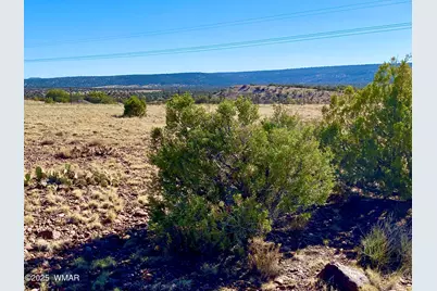 Tbd Co Rd 5062 Lot 1 3.53 Acres, Concho, AZ 85924 - Photo 34