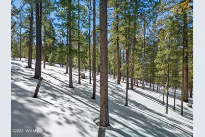 9 N1064, Greer, AZ 85927 - Photo 16