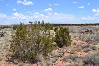 Lot 020E E 24th North Street, Snowflake, AZ 85937 - Photo 2