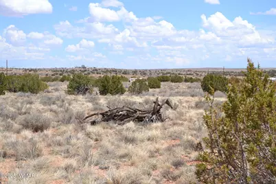 Lot 020E E 24th North Street, Snowflake, AZ 85937 - Photo 4