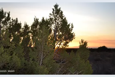 Lot 020D E 24th North Street, Snowflake, AZ 85937 - Photo 12