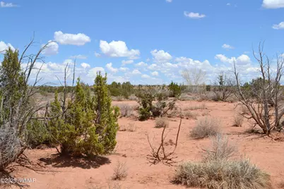 Lot 020B E 24th N Street, Snowflake, AZ 85937 - Photo 4