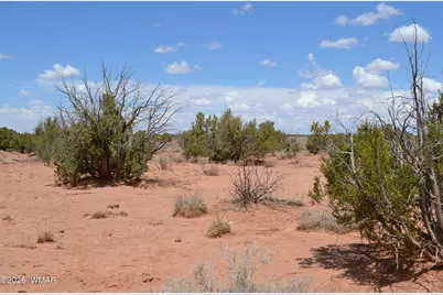 Lot 020B E 24th N Street, Snowflake, AZ 85937 - Photo 2