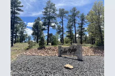 2611 Marshalls Run, Show Low, AZ 85901 - Photo 2