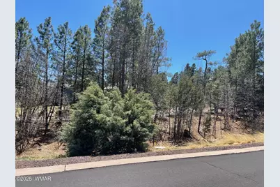 2611 Marshalls Run, Show Low, AZ 85901 - Photo 6
