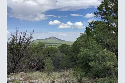 37 Cr 3168, Vernon, AZ 85940 - Photo 1