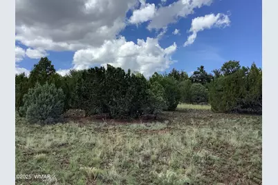 37 Cr 3168, Vernon, AZ 85940 - Photo 4