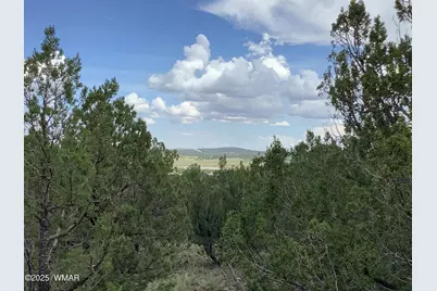 37 Cr 3168, Vernon, AZ 85940 - Photo 10