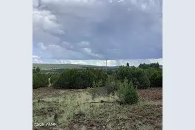 37 Cr 3168, Vernon, AZ 85940 - Photo 6