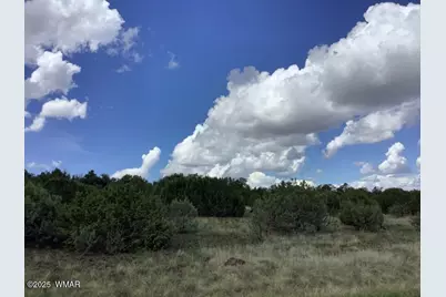 37 Cr 3168, Vernon, AZ 85940 - Photo 2