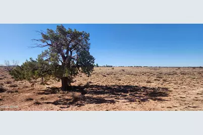 5137 Encanto Road, Snowflake, AZ 85937 - Photo 12