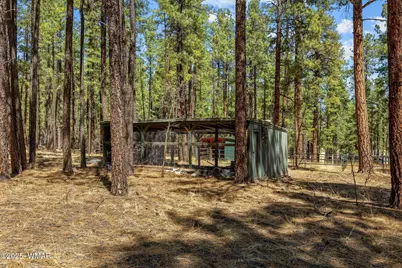 61 Co Rd 2266, Alpine, AZ 85920 - Photo 48