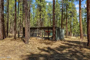61 Co Rd 2266, Alpine, AZ 85920 - Photo 48