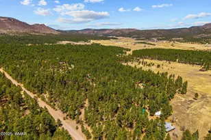 61 Co Rd 2266, Alpine, AZ 85920 - Photo 50