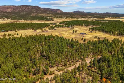 61 Co Rd 2266, Alpine, AZ 85920 - Photo 52