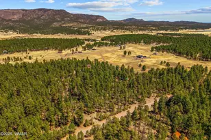 61 Co Rd 2266, Alpine, AZ 85920 - Photo 52