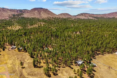 61 Co Rd 2266, Alpine, AZ 85920 - Photo 54