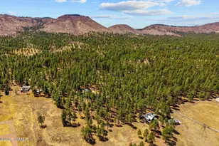 61 Co Rd 2266, Alpine, AZ 85920 - Photo 54